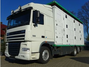 משאית להובלת בעלי חיים DAF XF 105/460 SSC Menke 3 Stock Hubdach: תמונה 1