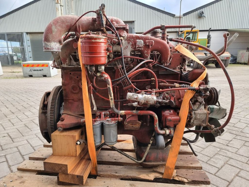 מנוע עבור מכונה חקלאית Fiat 8065-6 / FIAT F100 tractor: תמונה 2