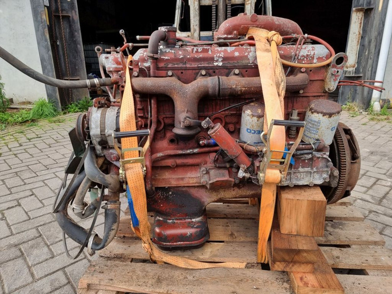 מנוע עבור מכונה חקלאית Fiat 8065-6 / FIAT F100 tractor: תמונה 5