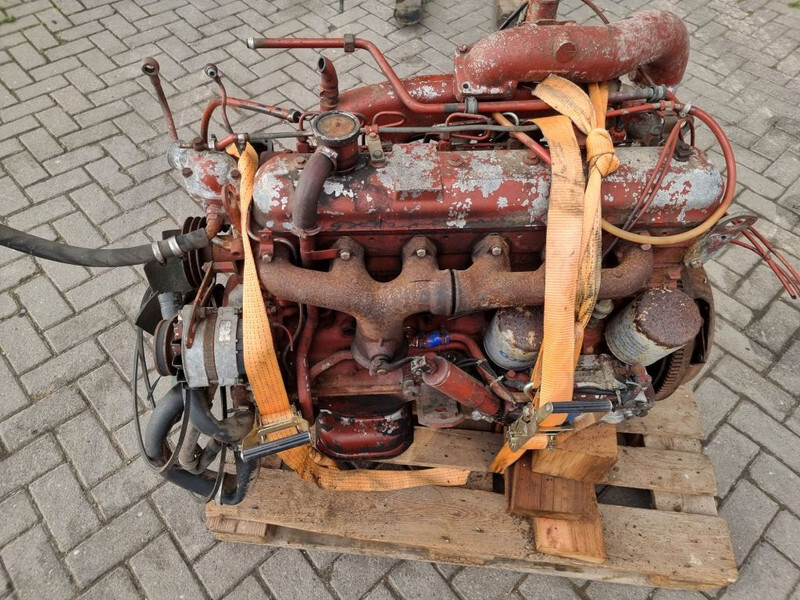 מנוע עבור מכונה חקלאית Fiat 8065-6 / FIAT F100 tractor: תמונה 4