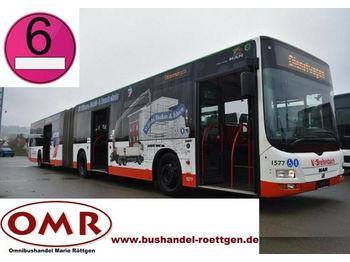 אוטובוס עירוני MAN A 23 Lion's City G/ O 530 G  / Euro 6 /Klima/ 5x: תמונה 1