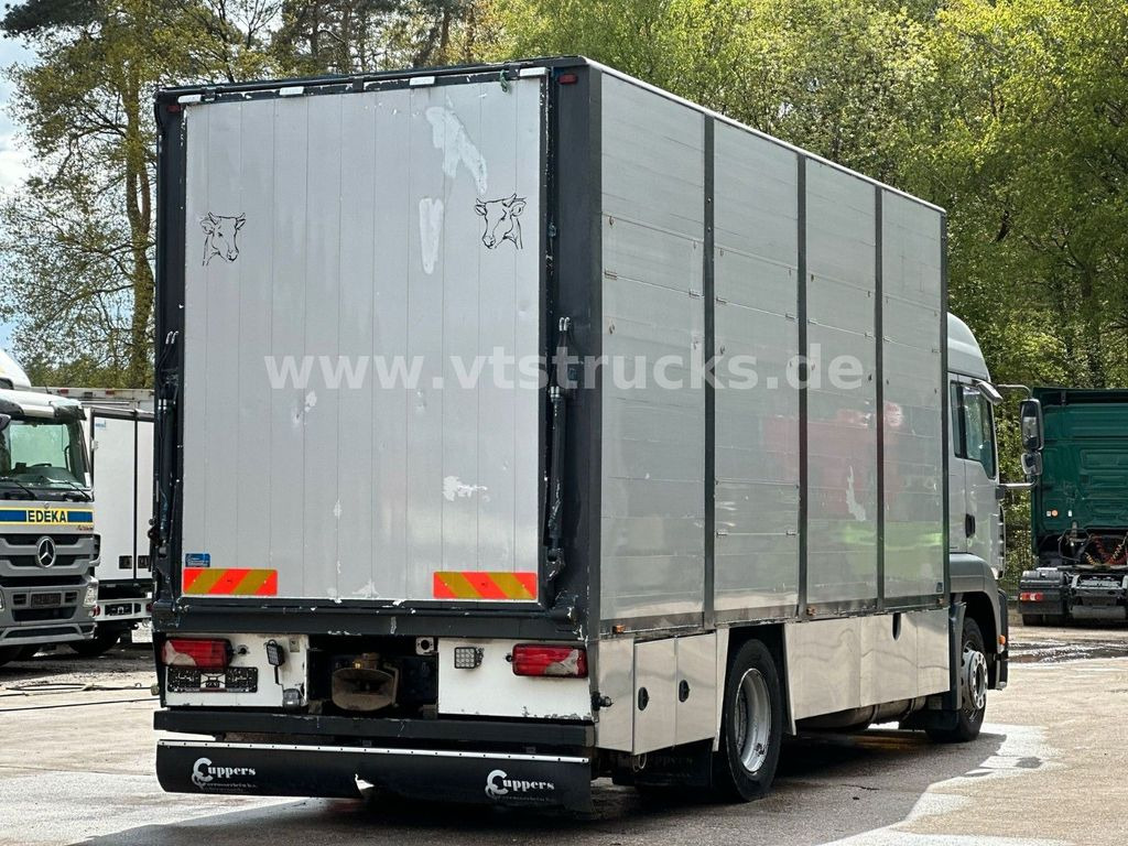 משאית להובלת בעלי חיים MAN TGA 18.390 4x2 1.Stock Cuppers Viehtransporter: תמונה 4