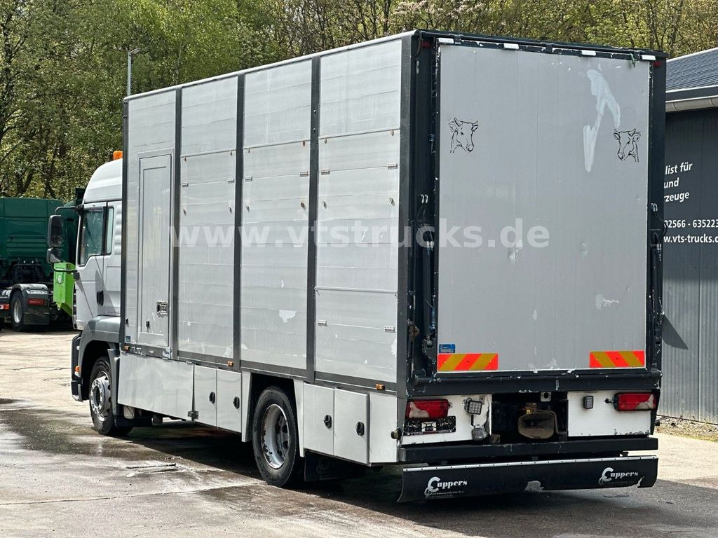 משאית להובלת בעלי חיים MAN TGA 18.390 4x2 1.Stock Cuppers Viehtransporter: תמונה 6