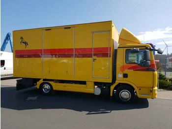 משאית סוסים MAN TGL 10.180 Euro 4  Pferdetransporter Horse: תמונה 3