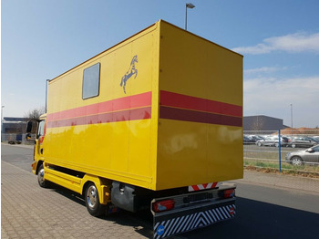 משאית סוסים MAN TGL 10.180 Euro 4  Pferdetransporter Horse: תמונה 5