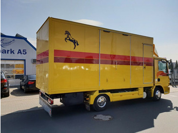 משאית סוסים MAN TGL 10.180 Euro 4  Pferdetransporter Horse: תמונה 4
