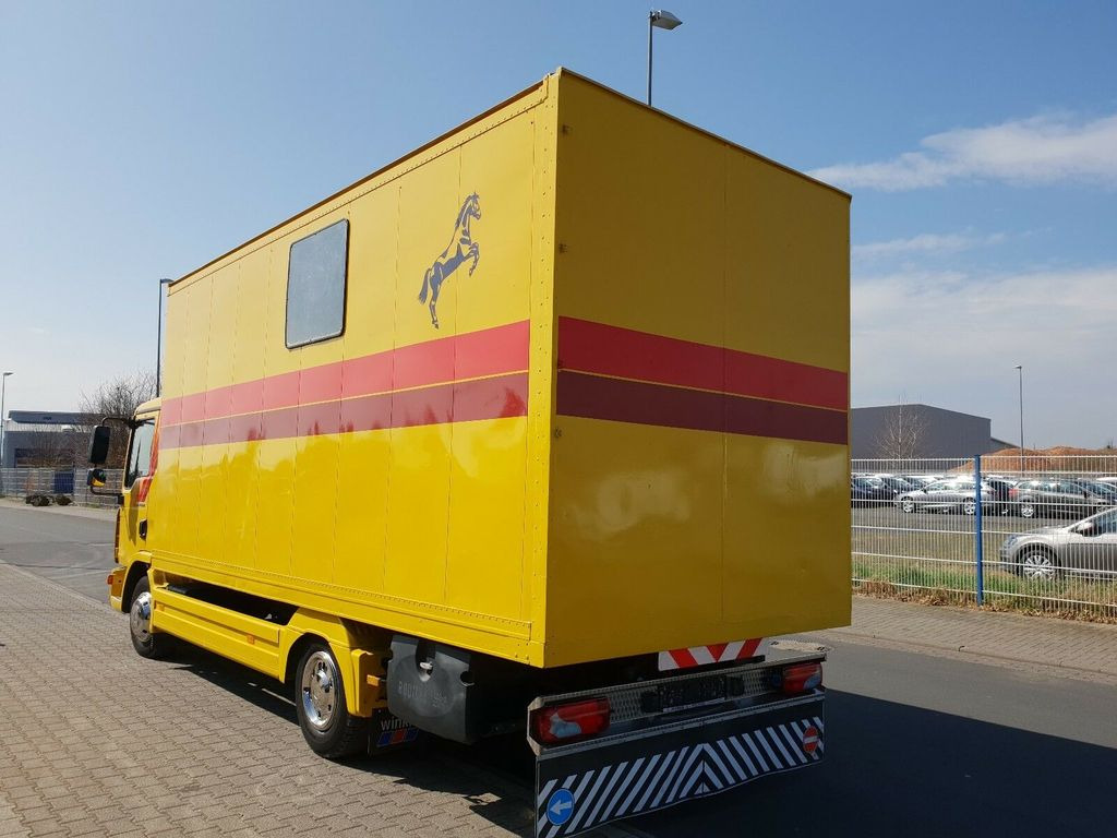 משאית סוסים MAN TGL 10.180 Euro 4  Pferdetransporter Horse: תמונה 5