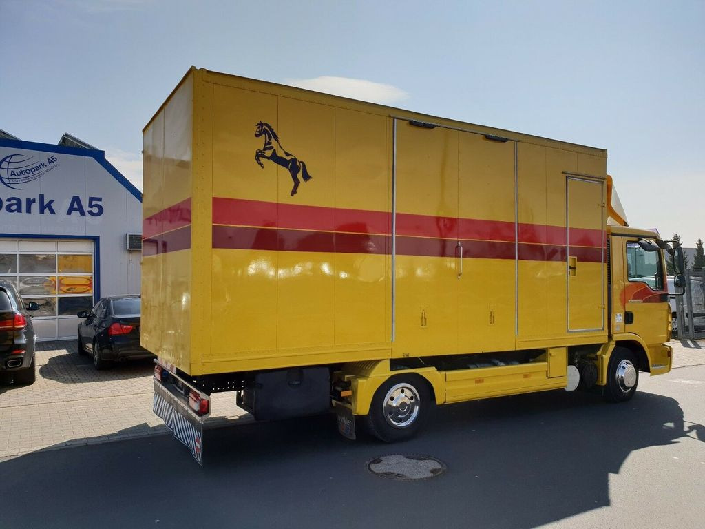 משאית סוסים MAN TGL 10.180 Euro 4  Pferdetransporter Horse: תמונה 4