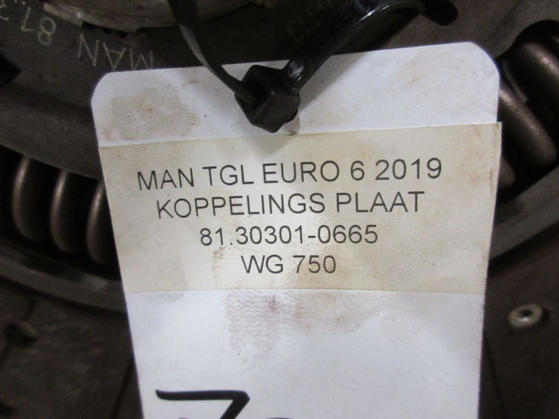 מצמד וחלקים עבור משאית MAN TGL 81.30301-0665 KOPPELINGSPLAAT EURO 6: תמונה 3