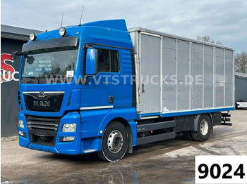 משאית להובלת בעלי חיים MAN TGX 18.500 4x2 Euro6 1.Stock Stehmann Viehtrans.: תמונה 1