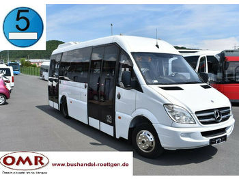 מיניבוס, כלי רכב מסחרי לנוסעים Mercedes-Benz 516 CDI Sprinter/komplett saniert/Crafter: תמונה 1