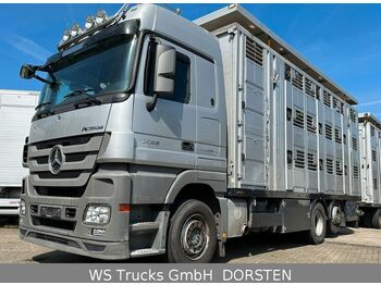 משאית להובלת בעלי חיים Mercedes-Benz Actros 2548 Menke 3 Stock Vollalu Hubdach: תמונה 1