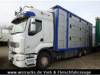 משאית להובלת בעלי חיים Renault 450 DXI  Menke 3 Stock Hubdach: תמונה 1