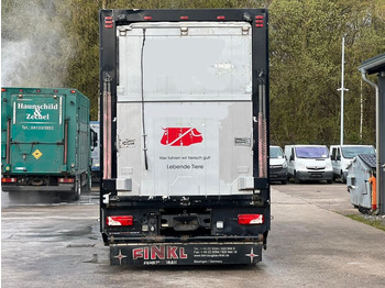 משאית להובלת בעלי חיים Scania G 360 2.Stock FINKL: תמונה 5
