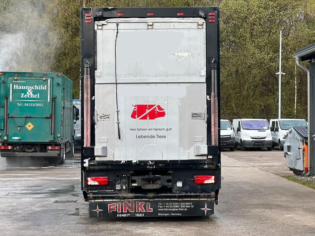 משאית להובלת בעלי חיים Scania G 360 2.Stock FINKL: תמונה 5