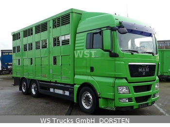 משאית להובלת בעלי חיים MAN TGX 26.480