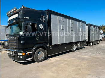 משאית להובלת בעלי חיים SCANIA R 730