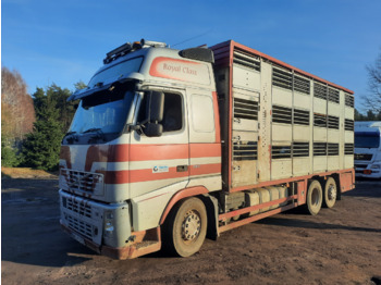 משאית להובלת בעלי חיים VOLVO FH12