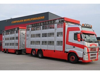משאית להובלת בעלי חיים Volvo FH 500 6X2: תמונה 1