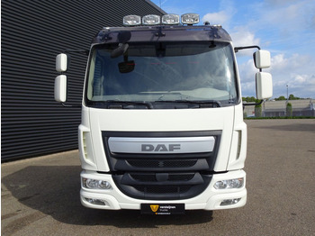 DAF LF 210 EURO 6 / OPRIJ WAGEN / MACHINE TRANSPORT - משאית הובלה אוטומטית: תמונה 2