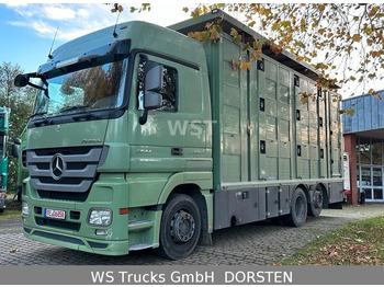Mercedes-Benz Actros 2544 Menke 3 Stock Vollalu Hubdach - משאית להובלת בעלי חיים: תמונה 1
