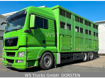 MAN TGX 26.480 XL KABA 3 Stock Vollalu - משאית להובלת בעלי חיים: תמונה 1