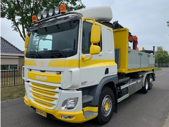 DAF CF 440 FAN Palfinger 19000 Hyvalift haakarmsysteem - מוביל מכולות/ משאית החלפת גוף: תמונה 1