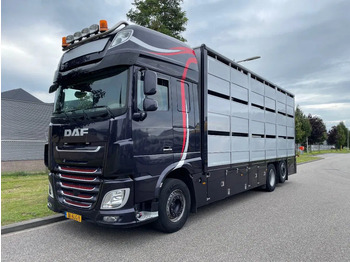 משאית להובלת בעלי חיים DAF XF 460