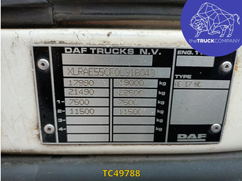 משאית תיבה DAF LF 55 250: תמונה 3 משאית תיבה DAF LF 55 250: תמונה 3