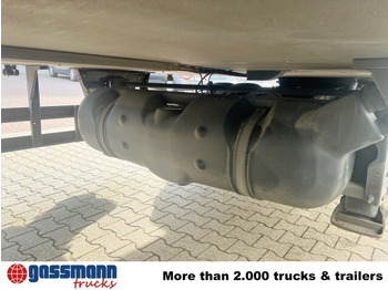 סמיטריילר עם קירור Schmitz Cargobull SKO 24/L-13.4 FP 25 45 COOL, Mega, Doppelstock: תמונה 4