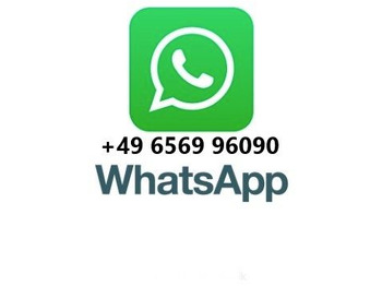 קרון נגרר מתגלגל/ מדלג Jung CA 18 J Apollino K 4 2- Achs Abroll: תמונה 2