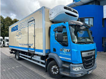 משאית קירור DAF LF 290
