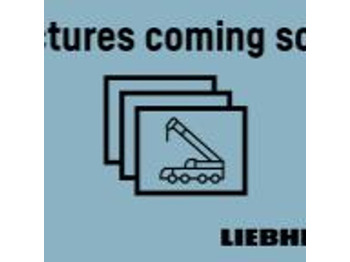 עגורן נייד LIEBHERR LTM 1050-3.1