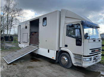 משאית סוסים IVECO