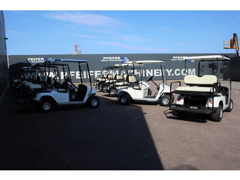 עגלת גולף BRINGO DG-C2 Valid Inspection, *Guarantee! Dutch R: תמונה 4