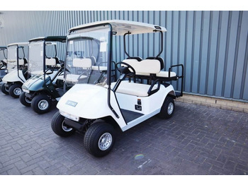 עגלת גולף BRINGO DG-C2 Valid Inspection, *Guarantee! Dutch R: תמונה 2