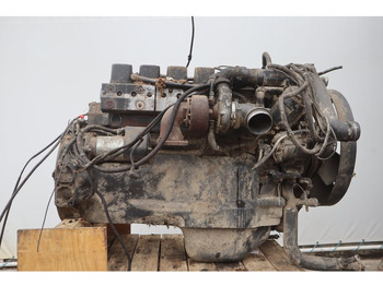 : תמונת כותרת עליונה