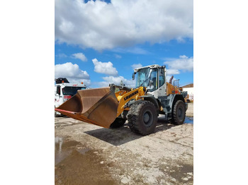 הַחכָּרָה  2018 Liebherr L 538 2018 Liebherr L 538: תמונה 1