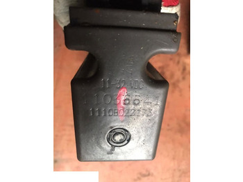 : תמונת כותרת עליונה