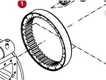 : תמונת כותרת עליונה