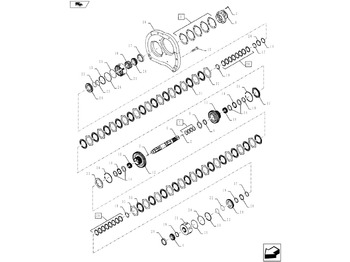 : תמונת כותרת עליונה