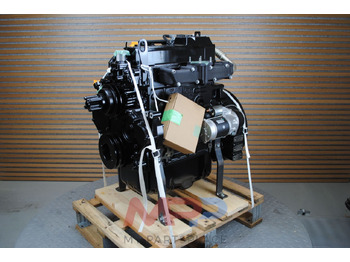 : תמונת כותרת עליונה