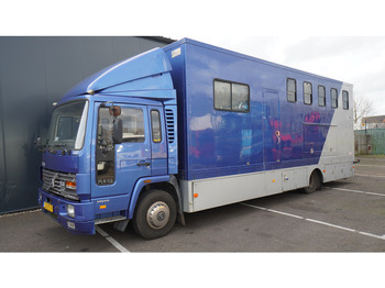 משאית סוסים Volvo FL 6-9 HORSE TRANSPORT 341.000KM MANUAL GEARBOX: תמונה 3