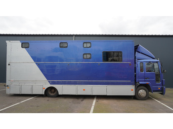 משאית סוסים Volvo FL 6-9 HORSE TRANSPORT 341.000KM MANUAL GEARBOX: תמונה 2