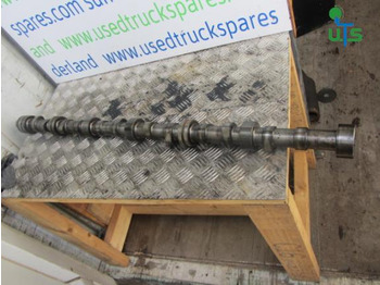 : תמונת כותרת עליונה