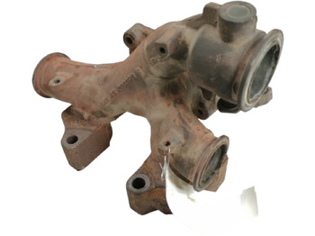 : תמונת כותרת עליונה