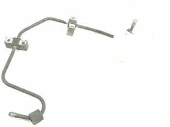 : תמונת כותרת עליונה