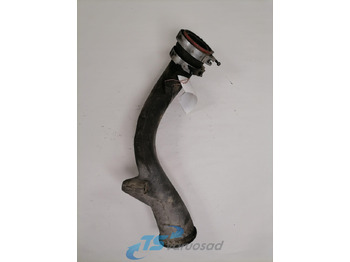 : תמונת כותרת עליונה