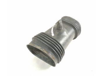 : תמונת כותרת עליונה