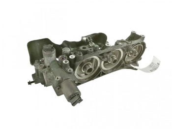 : תמונת כותרת עליונה